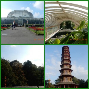 Kew gardens